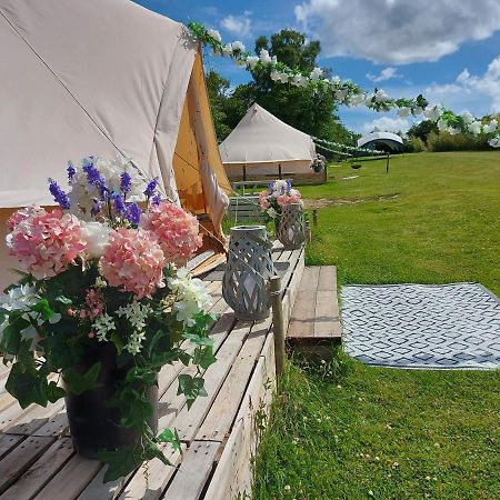 Hopgarden Glamping - Luxury 6M Bell Tent Wadhurst 外观 照片