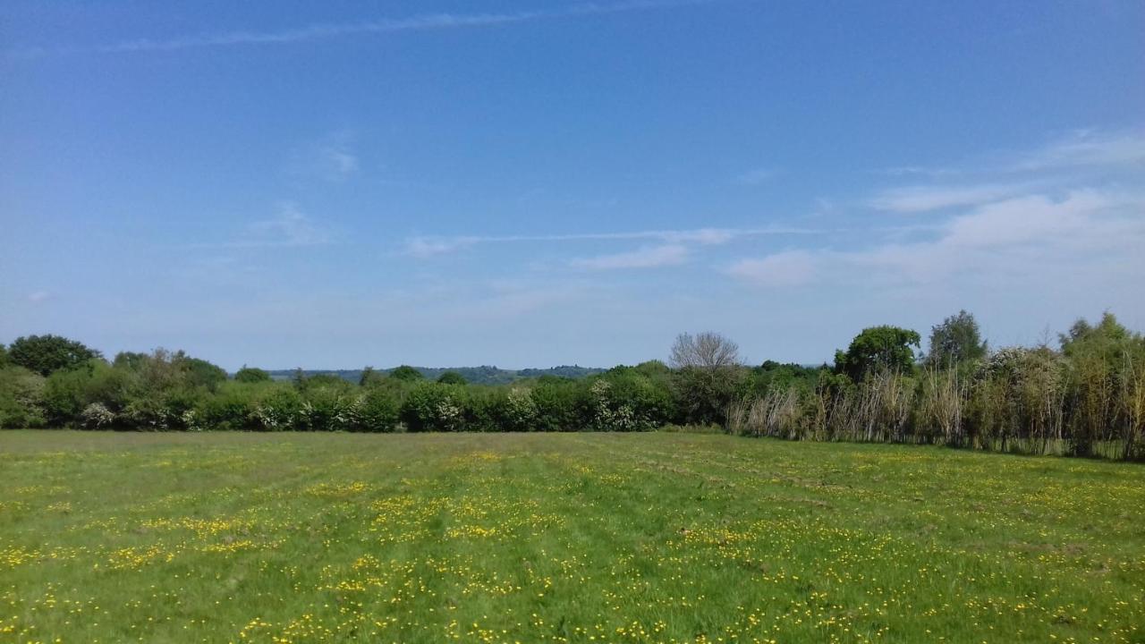 Hopgarden Glamping - Luxury 6M Bell Tent Wadhurst 外观 照片