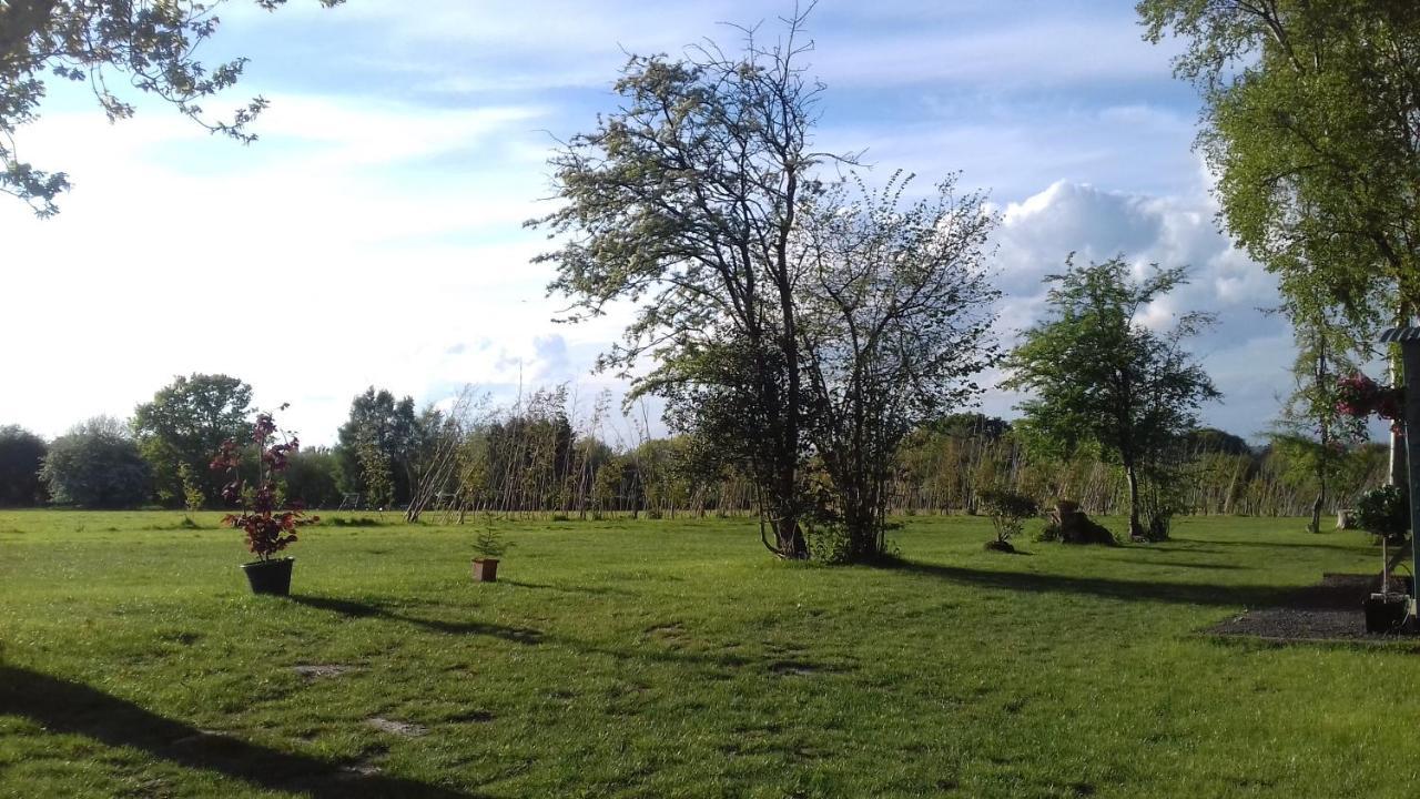 Hopgarden Glamping - Luxury 6M Bell Tent Wadhurst 外观 照片