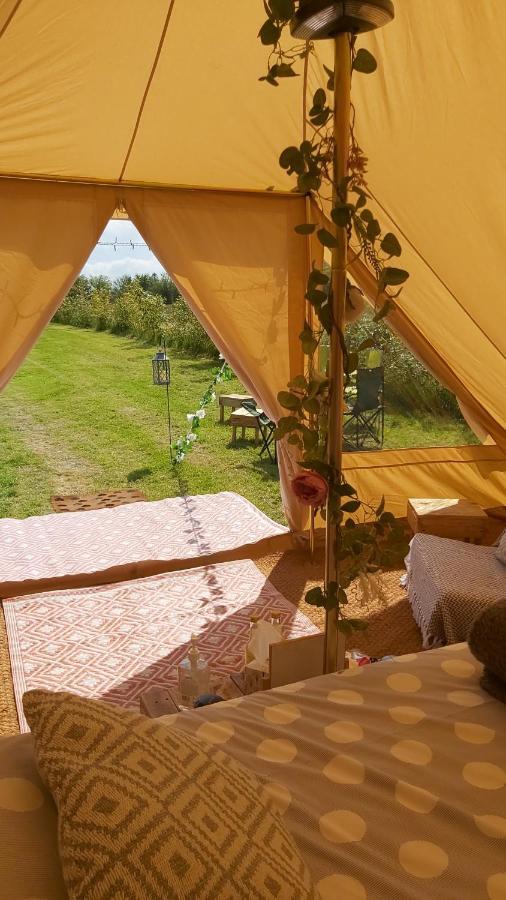 Hopgarden Glamping - Luxury 6M Bell Tent Wadhurst 外观 照片