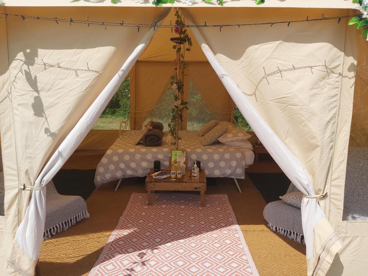 Hopgarden Glamping - Luxury 6M Bell Tent Wadhurst 外观 照片