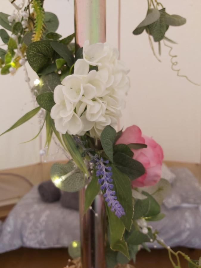 Hopgarden Glamping - Luxury 6M Bell Tent Wadhurst 外观 照片