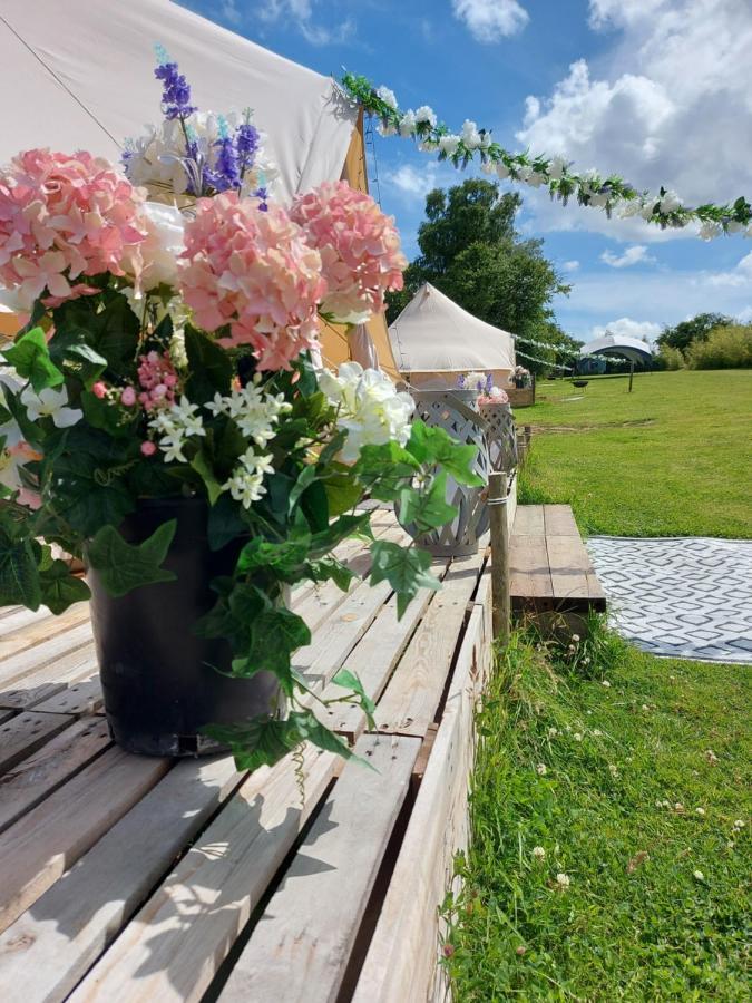Hopgarden Glamping - Luxury 6M Bell Tent Wadhurst 外观 照片