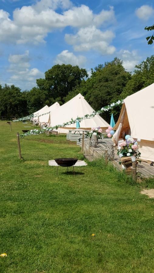 Hopgarden Glamping - Luxury 6M Bell Tent Wadhurst 外观 照片