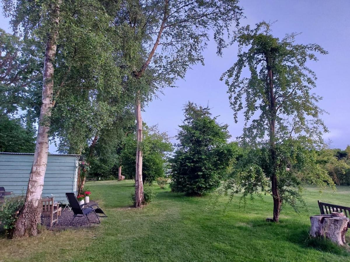 Hopgarden Glamping - Luxury 6M Bell Tent Wadhurst 外观 照片