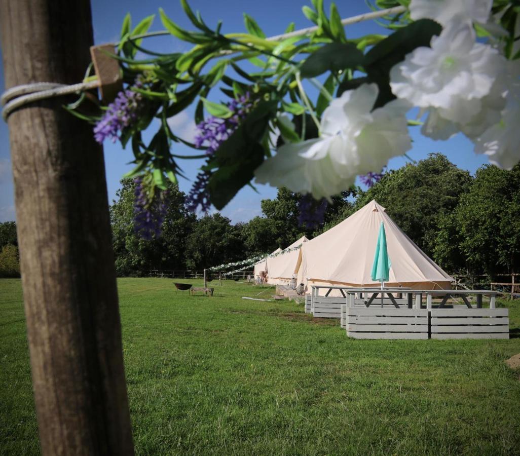 Hopgarden Glamping - Luxury 6M Bell Tent Wadhurst 外观 照片